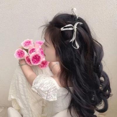 执行局长